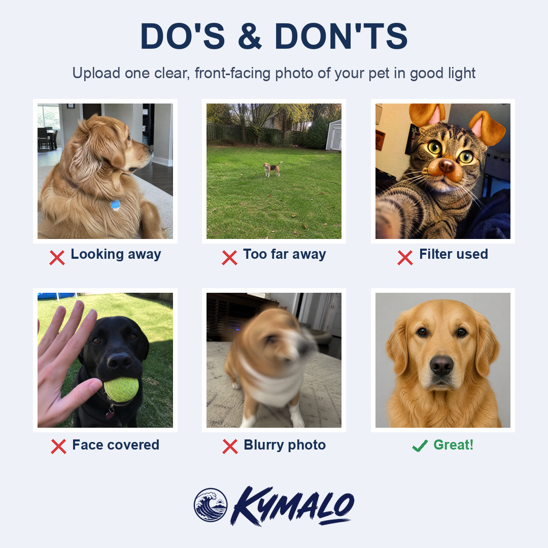 How to upload your photo for Women's Chime Charms Custom Cat Face V-Neck Dress — photo do's and don'ts
