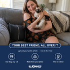 Friends in matching Women's Frightlight Fancies Custom Cat Face Off-Shoulder Dress — a group gift photo