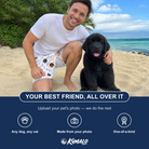 Friends in matching Men's Fido Follies Custom Dog Face Beach Shorts — a group gift photo