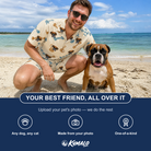 Friends in matching Men's Knotty Companions Custom Dog Face Shirt & Shorts Set — a group gift photo
