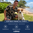Friends in matching Men's Midnight Moonhoot Custom Dog Face Shirt & Shorts Set — a group gift photo