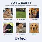 How to upload your photo for Men's Meow Marrow Custom Cat Face Beach Shorts — photo do's and don'ts