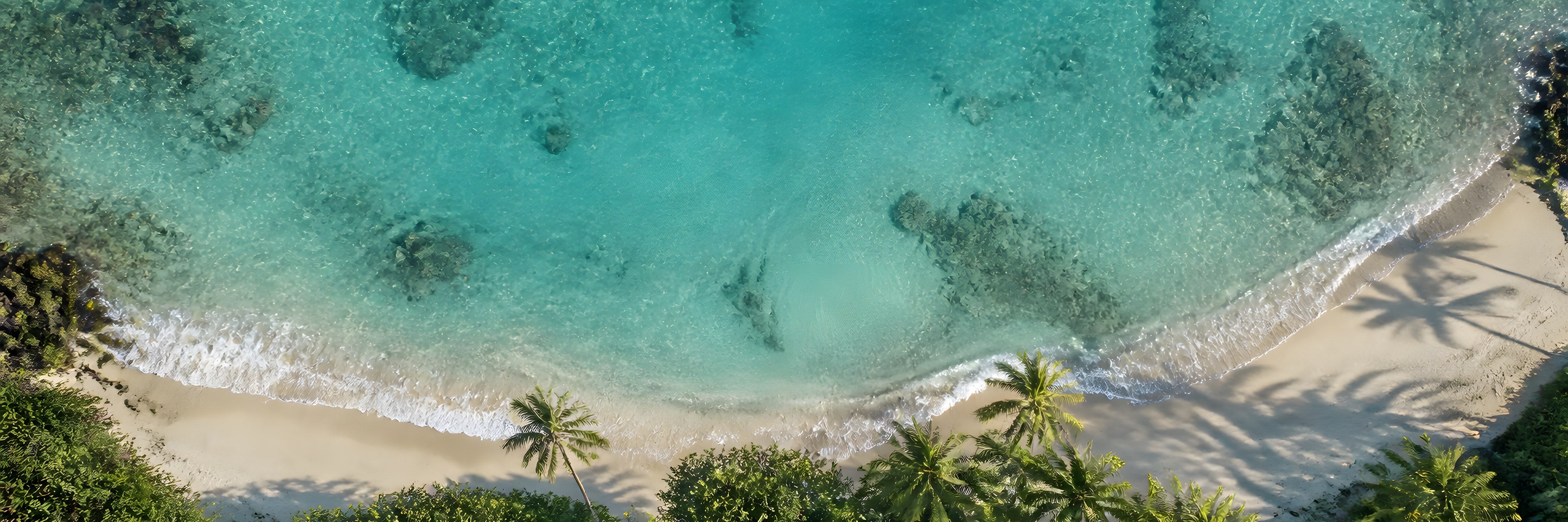 Top-down view of a turquoise tropical cove, sandy beach and palm trees