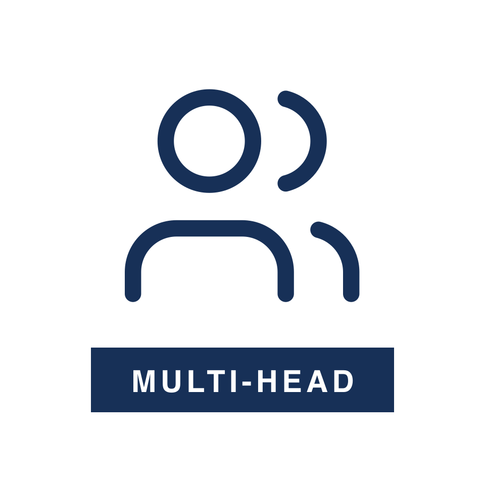 Multi-Head Customization